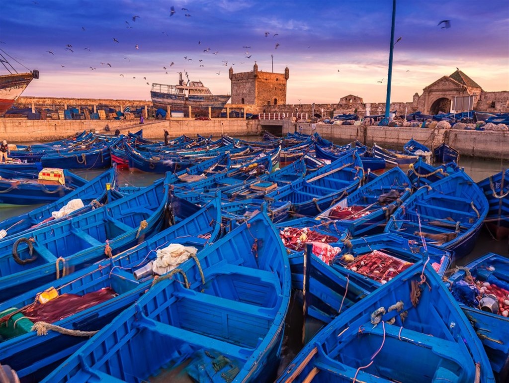 Private Morocco Tours