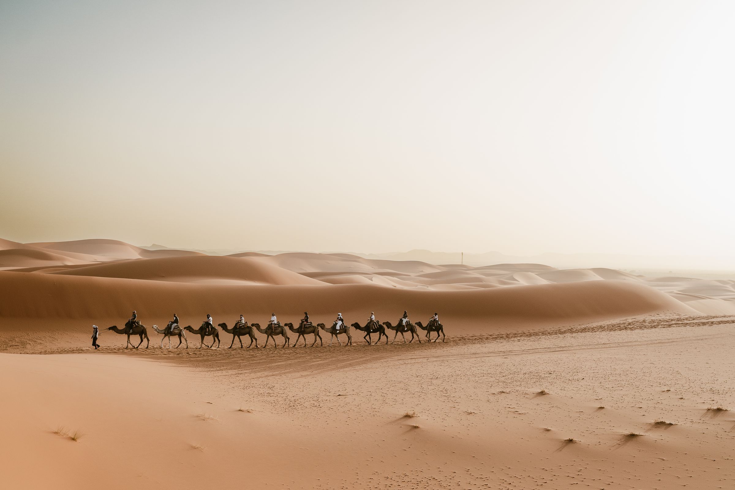 Städte, Sahara und Atlantik: Casablanca, Volubilis, Meknès, Fès — 10 Tage