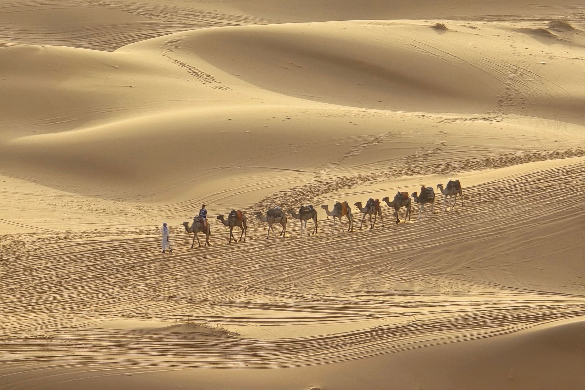 Kultur, Sahara und Atlaswege: Casablanca, Volubilis, Meknès, Fès — 10 Tage