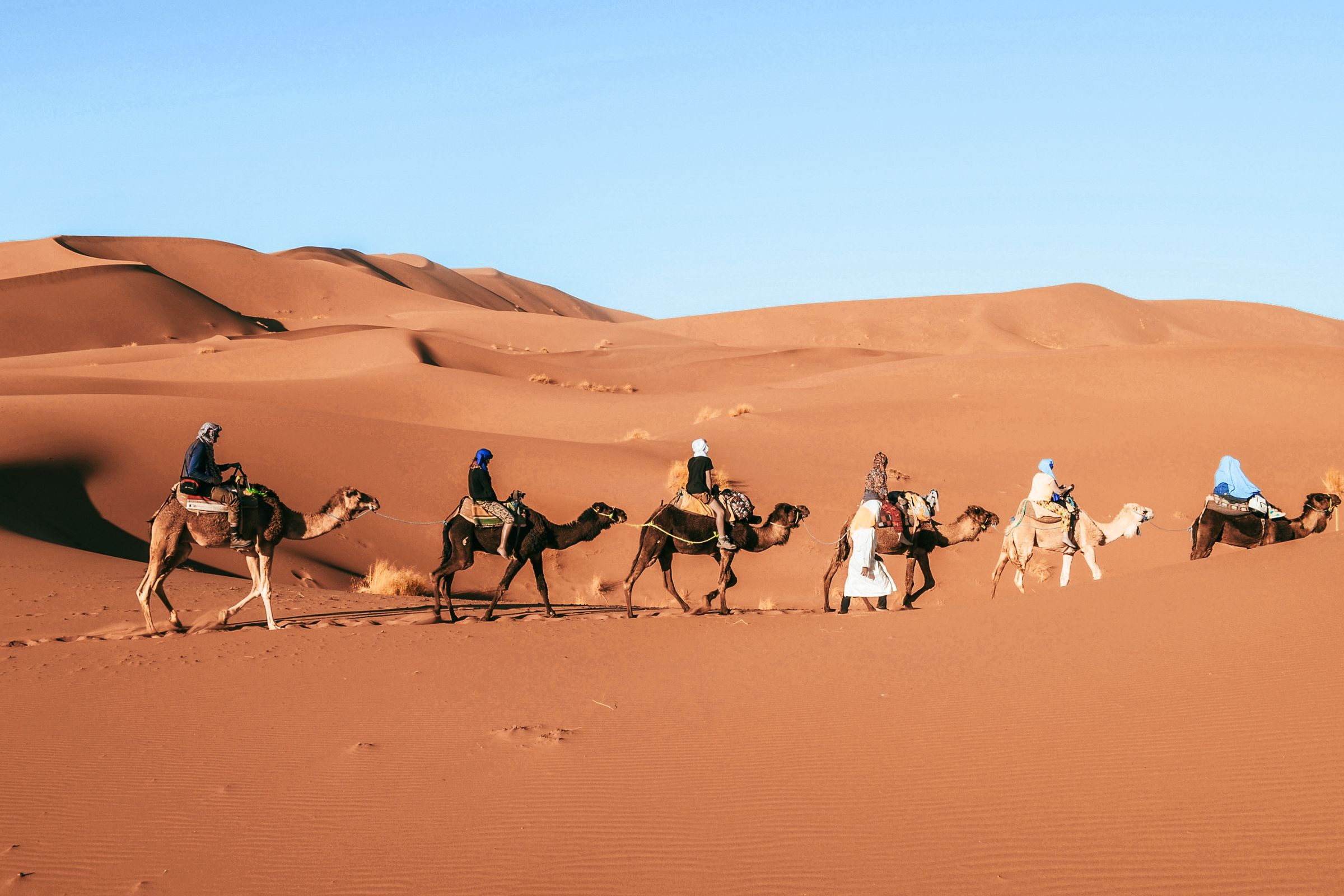 Südmarokko im Winter: Marrakech, Essaouira, Taroudant, Foum Zguid — 10 Tage