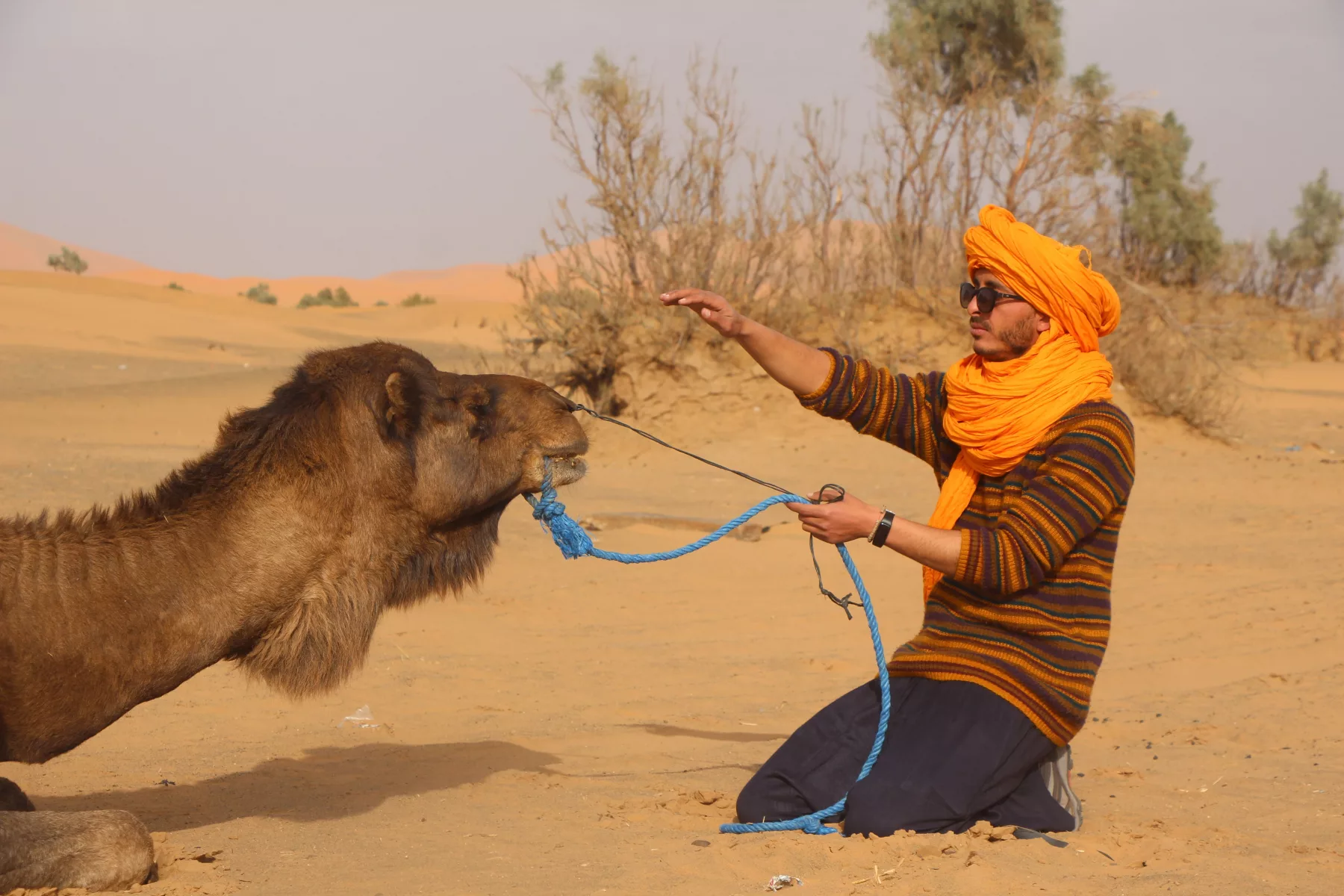 South Morocco Adventure: Marrakech to Essaouira - 15 Days