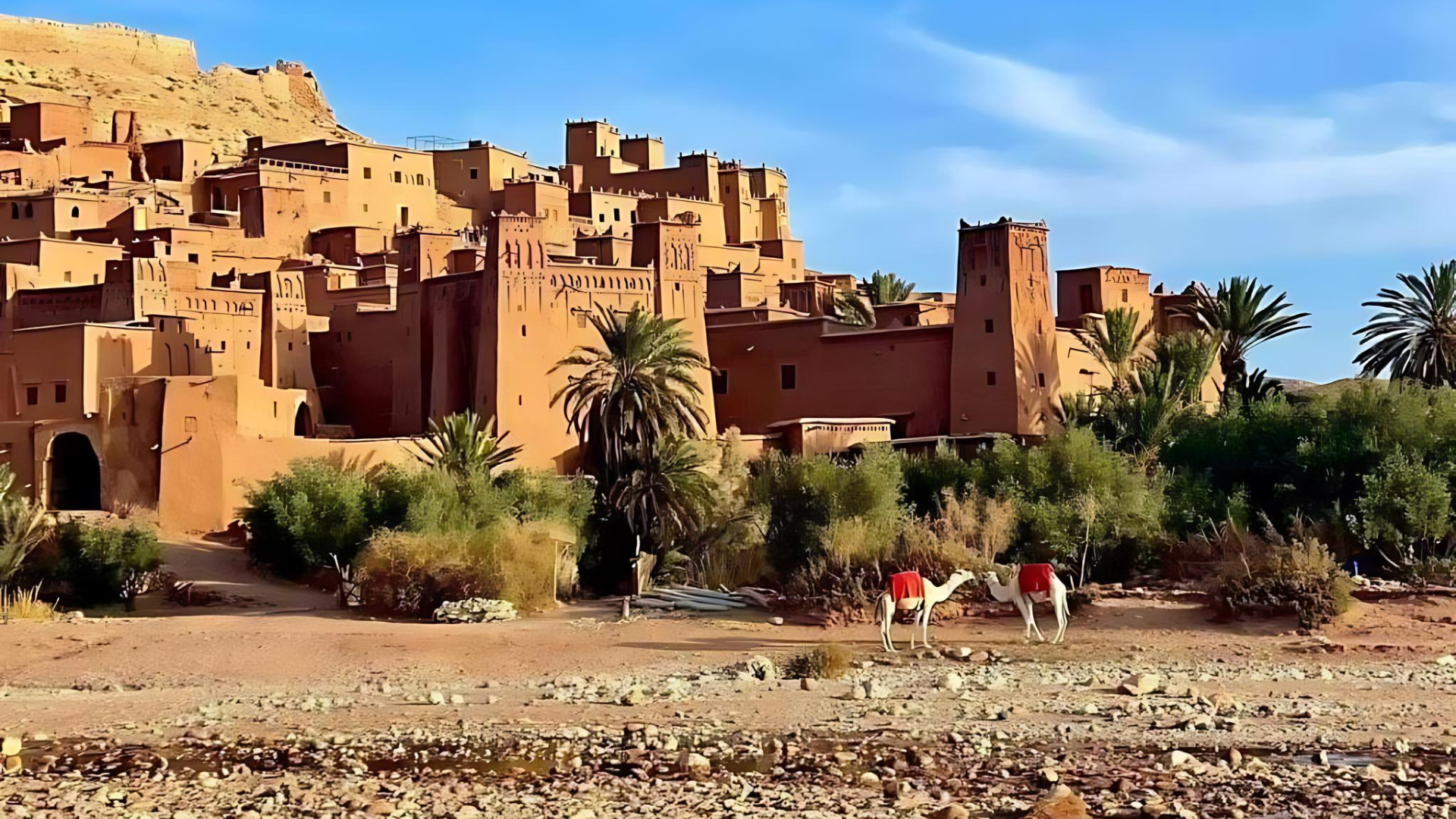 10-Day Imperial Cities & Sahara Desert Grand Tour from Casablanca