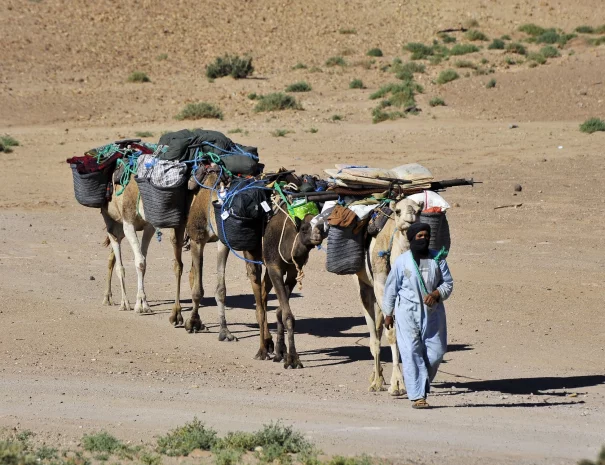 marrakech desert trips