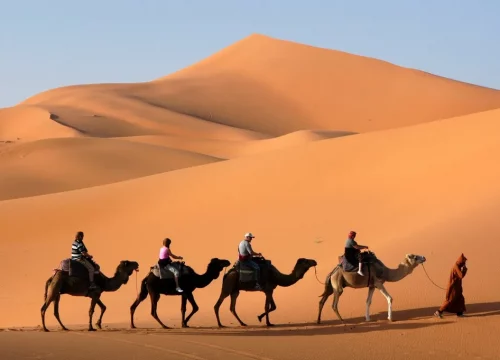 The Ultimate Moroccan Odyssey: A 14-Day Grand Tour of Cities, Deserts, and Coastlines