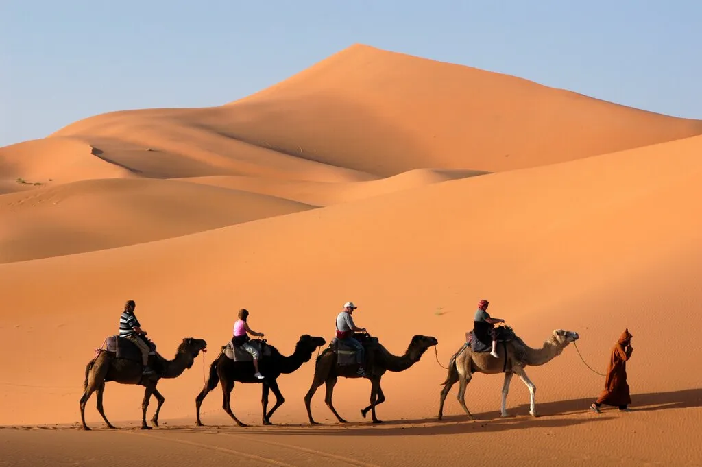 The Ultimate Moroccan Odyssey: A 14-Day Grand Tour of Cities, Deserts, and Coastlines